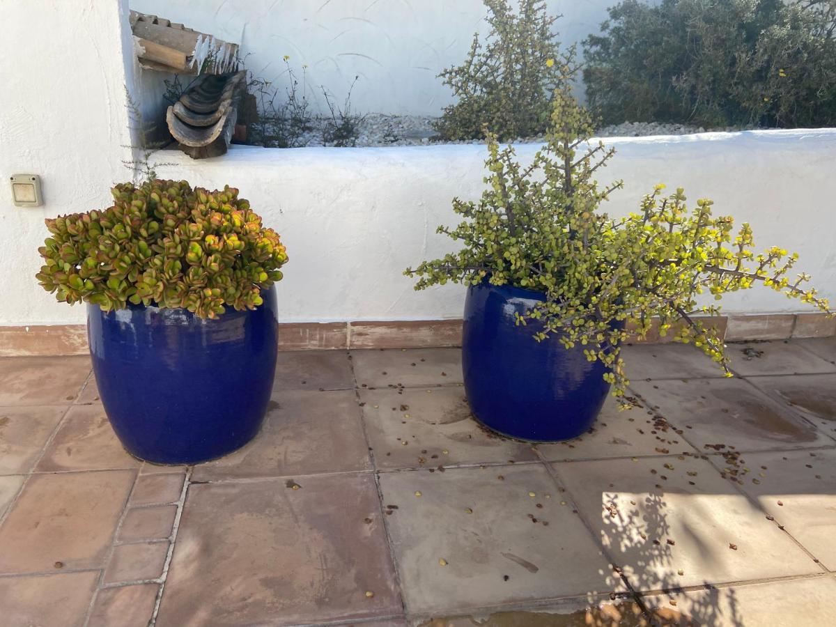 Javea Villa Entiere Piscine Et Cuisine D'Ete A Pinosol Eksteriør billede