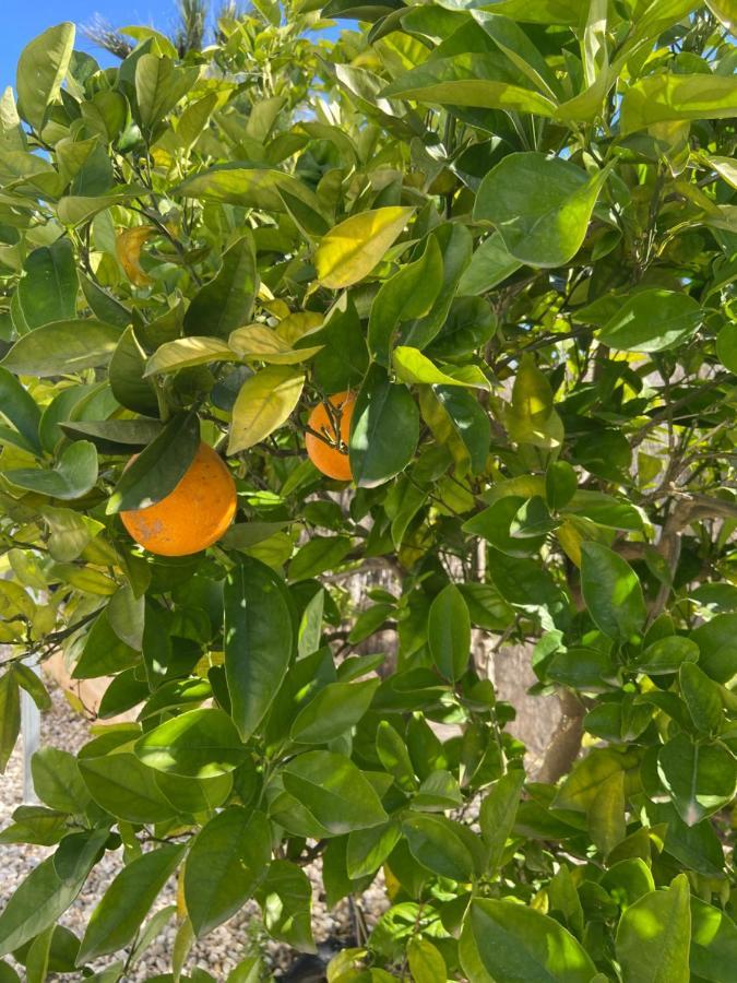 Javea Villa Entiere Piscine Et Cuisine D'Ete A Pinosol Eksteriør billede