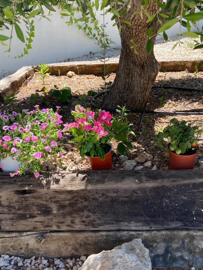 Javea Villa Entiere Piscine Et Cuisine D'Ete A Pinosol Eksteriør billede